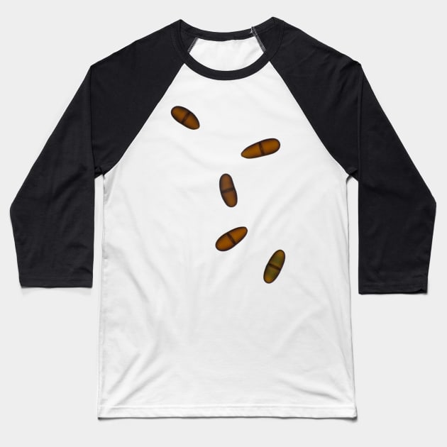 Airborne fungal spores (ascospores) under the microscope Baseball T-Shirt by SDym Photography